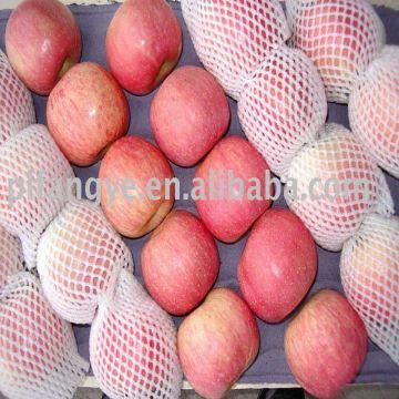 Plastic Bagged Red Fuji Apples China Manufacturer