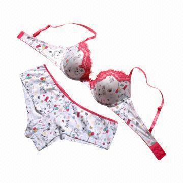 Underwear Set for Lace Decoration Printed Bra with Boylet - China
