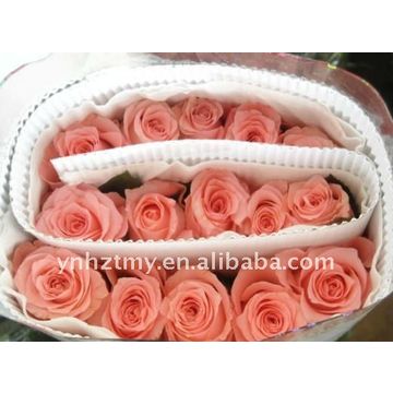 Rose rose - Fleur fraîche coupée à prix de gros