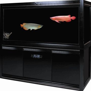 Large Rectangular Fish Large Rectangular Glass Aquarium Fish Tank $420 - Wholesale China Large ...