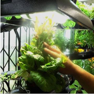 Plant Grow Induction Lighting Hot Lights Energy Plant Grow Induction Lighting Hot