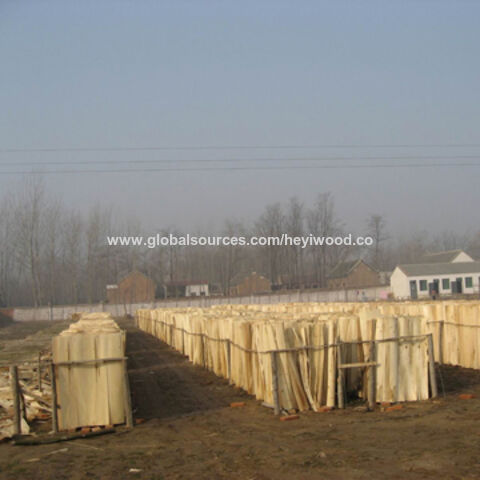 Buy Wholesale China Laminated Veneer Lumber & Laminated Veneer Lumber