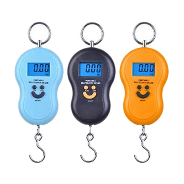 Balance Électronique Portable à Main, 50kg/10g, Balance Numérique pour Bagages