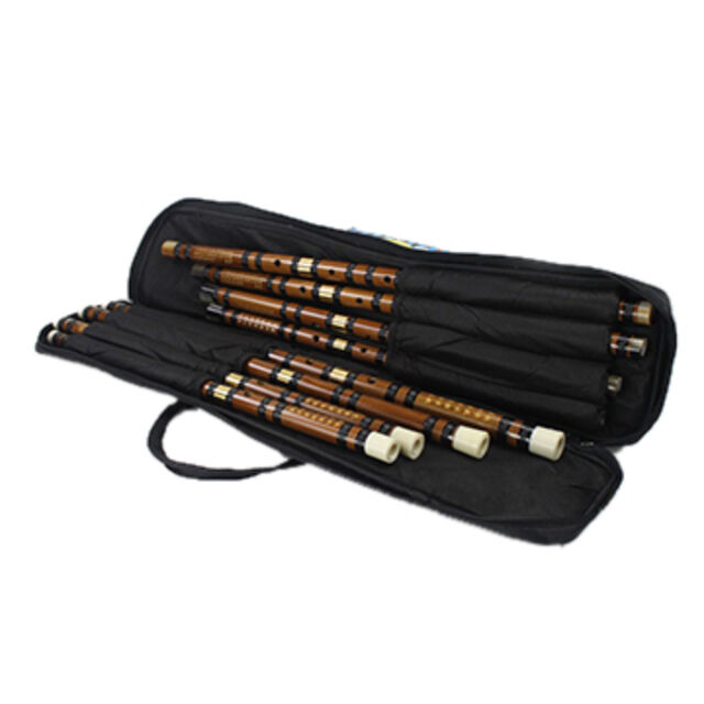 Fundas y Estuches para Instrumentos, Protegiendo su Flauta for sale at factory direct price