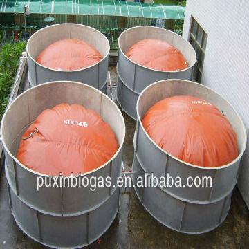 PUXIN Biogas Storage Bag, Biogas Collect Balloon, Biogas Storage Tank, Made  of Reinforced PVC (0.5m³/132gal) : Amazon.in: Home & Kitchen