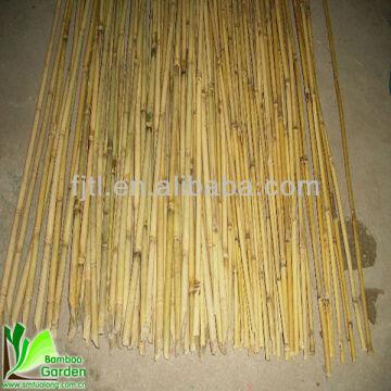 Buy China Wholesale Bamboo Cane Pole Plant & Bamboo Cane Pole Plant