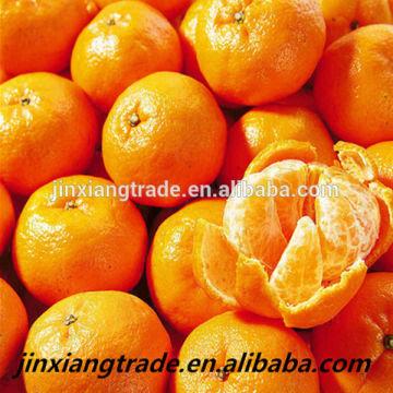 Fresh Mandarin Orange Citrus Fruit 1.chinese Orange 2.sweet,juicy,tasty ...