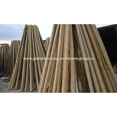 Bamboo Pole Moso
