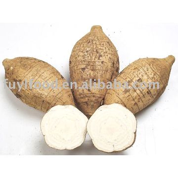 Arrowhead Root In Chinese