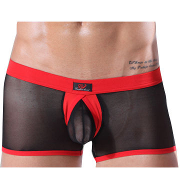Men See Through Underwears Briefs Pants Transparent Boxer Underpants 6 Color