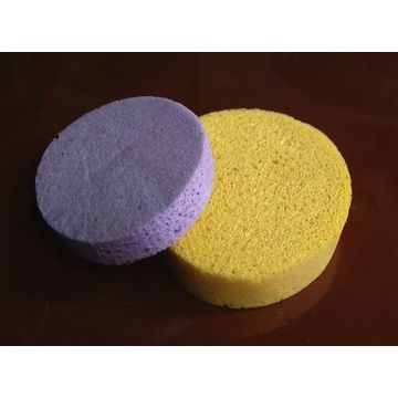 https://p.globalsources.com/IMAGES/PDT/B1131368822/Eco-friendly-High-Quality-Cellulose-Kitchen-Cleani.jpg