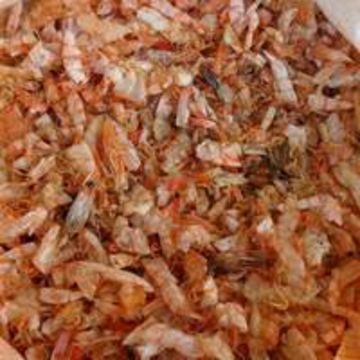 Bulk Buy Thailand Wholesale Dried Shrimp Shell Meal/ Shell Crab