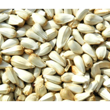 safflower sunflower seeds