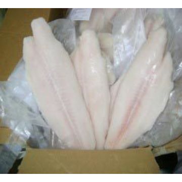 Fish fillet frozen