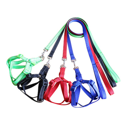 Buy Wholesale China Dog Leashes With Harness, For Traction & Dog ...