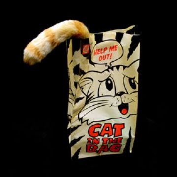 Cat in the bag hot sale toy