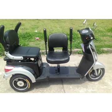 tricycle 2 seater