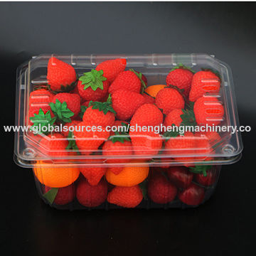 Clamshell Plastic Fruit Packaging Container, 1000 Gram For Tomatoes ...
