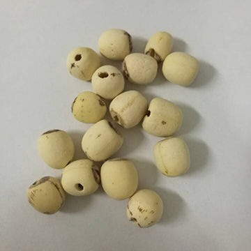 Buy Wholesale China Dry Seeds Bowl Lotus & Dry Seeds Bowl Lotus at USD ...