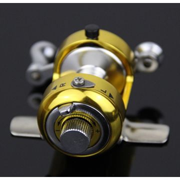 Pen Fishing Reel Small Coil Portable Spinning Reel Ice Casting Reels  Baitcasting Reel - Wholesale China Pen Fishing Reel Small Coil Portable Spinning  Reel at factory prices from Weihai Ceway Outdoor Products