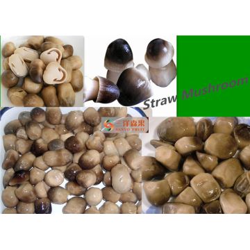 Frozen Straw Mushrooms - Food Supplier