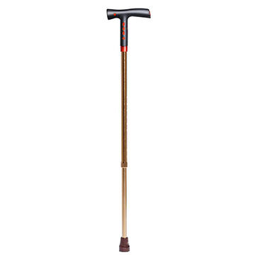 Buy Wholesale China Gps Intelligent Walking Stick & Gps Intelligent Walking  Stick For Elderly at USD 29.99