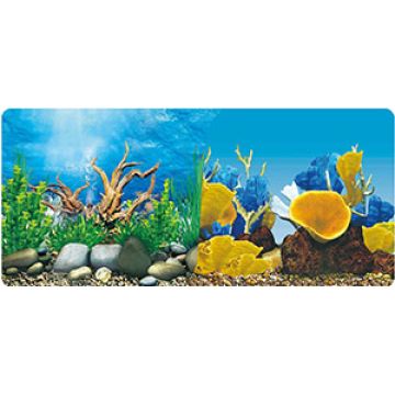 Buy Wholesale China Aquarium Background Paper, Double Sided,fish Tank ...