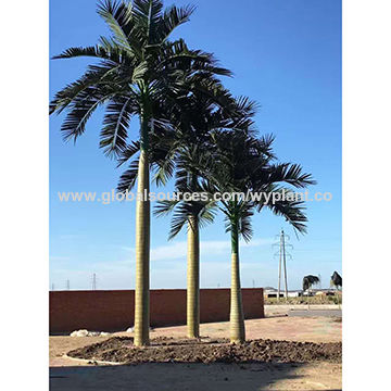 Outdoor Large Decorative Plastic, Large Fake Palm Trees Outdoor
