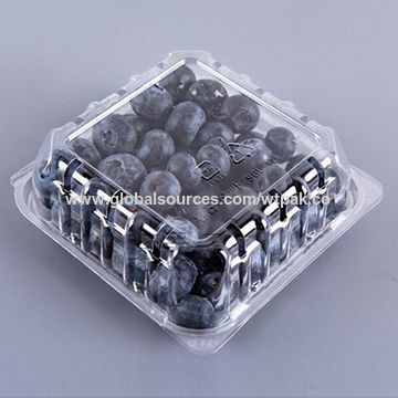 Disposable Small Plastic 125G Fruit Clamshell Packaging Container For  Blueberries Manufacturers