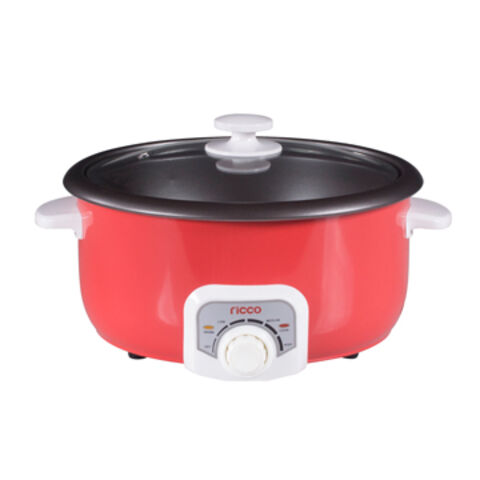 electric curry cooker