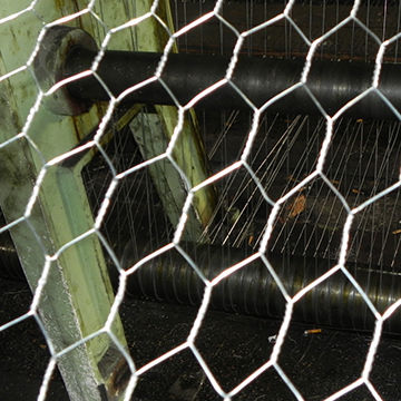 10 Meter Chicken Wire Mesh Galvanized Metal Hexagonal Wire Mesh