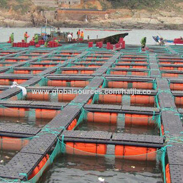 Buy Standard Quality China Wholesale Rectangle Hdpe Fish Fish Cage $1000  Direct from Factory at Qingdao Haijia Cage Technology Co. Ltd