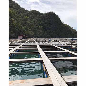 Square Cage 6X6m for Fish Farming in The Sea - China Sea Cage, Fish Cage