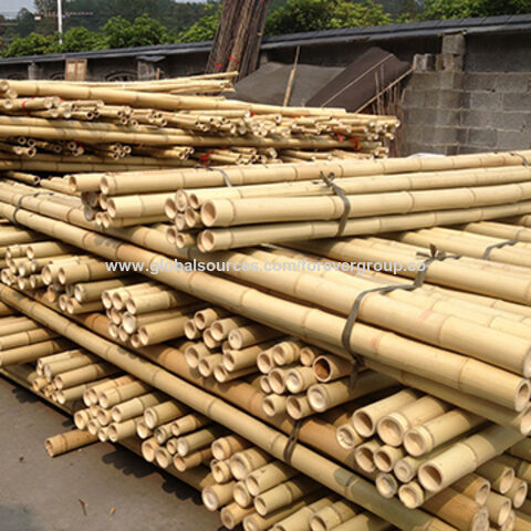 Large Bamboo Sticks Poles - China Bamboo Pole, Bamboo Cane