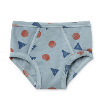 Boys Boxer Briefs Children′ S Cotton Toddler Hot Cartoon Underwear - China  Underpants and Panties price