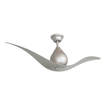 2 blade ceiling fan