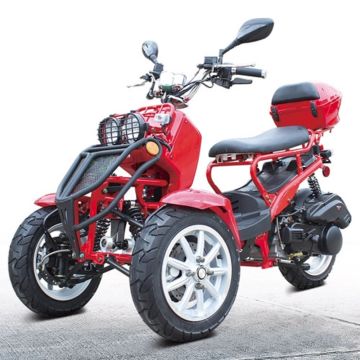 150cc Three-wheel Ruckus Style Trike Scooter Moped Model