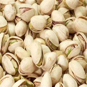 Buy Wholesale Denmark Pistachio Nuts With And Without Shell & Pistachio ...