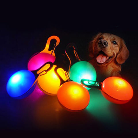 light up dog tag
