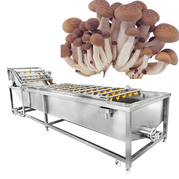 https://p.globalsources.com/IMAGES/PDT/B1163590619/Mushroom-Cleaning-Machine-Cucumber-Washing-Machine.jpg