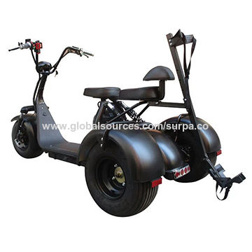 1500w 1000w Two Removable Portable Battery Citycoco Trike Fat Tire