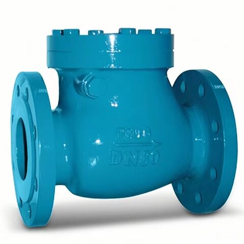Clapet étanchéité Tuyau WYSKONT Clapet Anti-retour DN110 - Acier Inoxydable - Pour évacuation Eaux Accessoire Plomberie Dn110