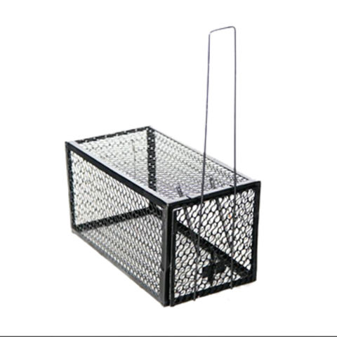 Buy Wholesale China Collapsible One-door Live Animal Cage Trap ,stray