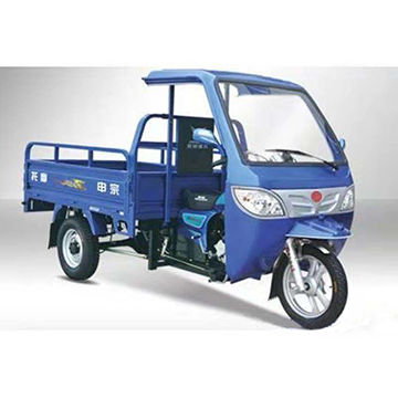 Tricycle électrique Cargo adultes/Regal Tricycle électrique Raptor