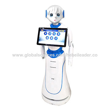 humanoid service robot