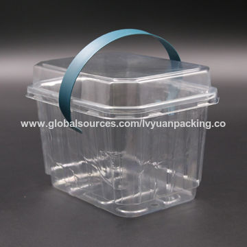 https://p.globalsources.com/IMAGES/PDT/B1167444589/Disposable-Clear-Plastic-Container-for-Fruit-and.jpg