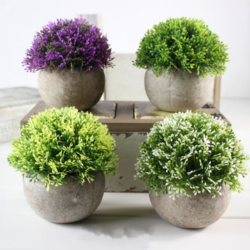indoor pothos plant ideas Golden Pothos in a 4" & 6" Nursery Pot - Easy Care Houseplant