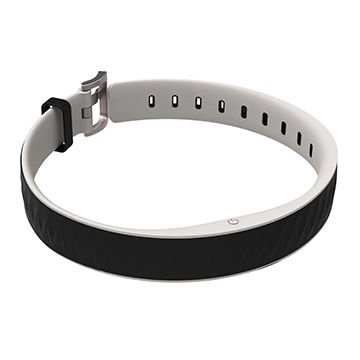 smart dog collar