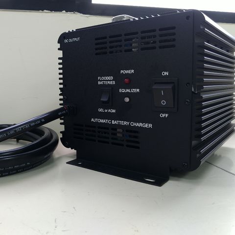 Auto battery store chargers for sale