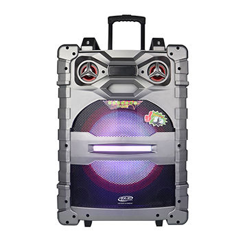 trolley speaker 15 inch price